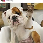 Brit_Will - @brit_will - Instagram