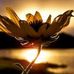 Britany Bethke - Facebook