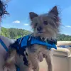 Brittney Barnes - @brittneybarnes00 - TikTok