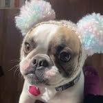 Britney Carter - @britneycarter806 - Instagram