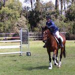 Britney Cooper - @cooper_eventing - Instagram