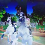 SSO._.CLUB - @britneycoyotethunder - Instagram