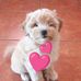 Britney Perez - Facebook
