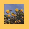 britneyrussell - @britneyrussell - TikTok
