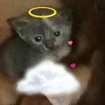 Britney Silver - @silver4448 - Instagram