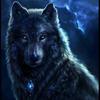 Britney Wilson - @darkshadows_wolfblood - TikTok