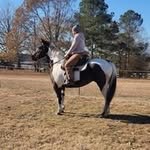 Brittany Burch - @brittburch - Instagram