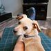 Britt Snyder - Facebook