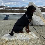 Britta Lindgren - Facebook