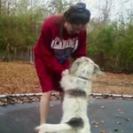 Brittany Akins - @brittanyakins123 - Instagram