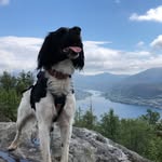 Tromsørypas Ta Argo - @argothebrittany - Instagram