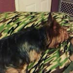 brittney armbruster - @armbrusterbrittney - Instagram