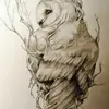 brittanyboyette68 - @brittanyboyette68 - TikTok
