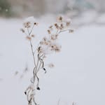 Brittany Burris Photography - @brittanyburrisphotography - Instagram