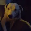 brittanycasey84 - @brittany.casey8 - TikTok