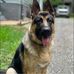 Brittany Cotter - Facebook