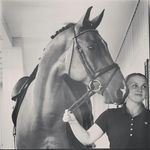 Brittany Early - @brittanyearlydressage - Instagram
