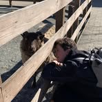 Brittany Gallant - Facebook