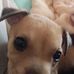 Brittany Estefany Gerardo - Facebook
