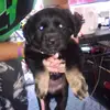 Brittany Gerst - @yoda120822 - TikTok
