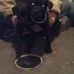 Brittany Gerst - Facebook