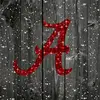 Brittany Hemphill Alabama girl - @brittanyhemphill51 - TikTok