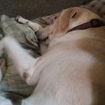 Brittany Herbert - @let_me_hear_you_say_fly - Instagram