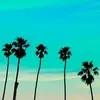 Brittany Hull - @brittanyhull01 - TikTok