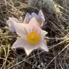 Brittany Ironstand - @brittany.ironstan - TikTok