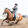 Brittany_Knox1 - @brittany_knox1 - TikTok