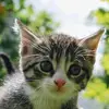 Brittany Mcbride - @brittany.mcbride2 - TikTok