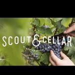 Brittany McCaleb-Scout&Cellar - @mccaleb.scoutandcellar - Instagram
