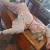 Brittany Mccarter - Facebook
