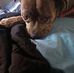 Brittani Roseann - Facebook