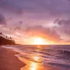 brittanysamsons - @brittanysamsons - TikTok