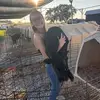 brittanyvent21 - @brittanyvent21 - TikTok