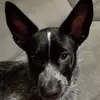 brittanywinchell - @brittanywinchell - TikTok