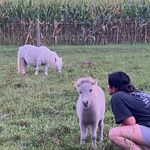 Brittany Yoder - @horsenannay - Instagram