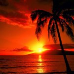 Brittney Blanchard - @beautifulsunsets83 - Instagram