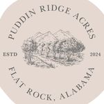 Brittney Comer | Homestead Orchard - @puddinridgeacres - Instagram