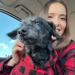 Brittney Dang - @brittneydang14 - Instagram