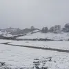 David Brittney831 - @davidbrittney1 - TikTok