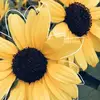Britney Davila852 - @britneydavila1 - TikTok