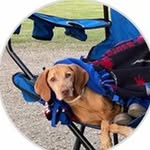 Brittany Decker - @wpkckfau - Instagram