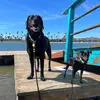 Brittney Decker - @bnd12345 - TikTok
