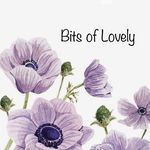 Brittney Diggs Jerabek - @bitsoflovelyhomeinteriors - Instagram