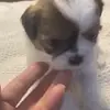 Brittney Dore - @brittney.dore - TikTok