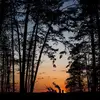 Britney Drew - @britneydrew.1 - TikTok