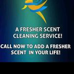 Brittany Dutton Bradford - @afresherscentcleaning - Instagram