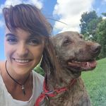 Brittney Dyson - @byrondogwash - Instagram